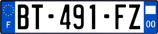 BT-491-FZ