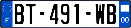 BT-491-WB