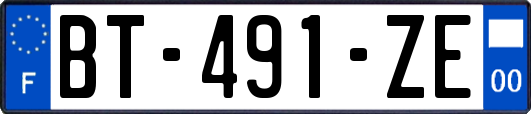 BT-491-ZE