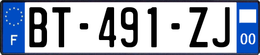 BT-491-ZJ