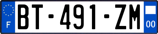 BT-491-ZM