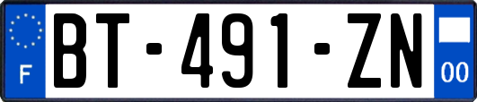 BT-491-ZN