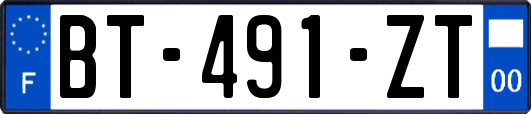 BT-491-ZT