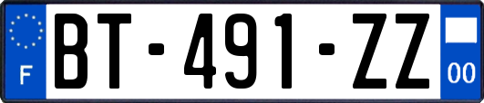 BT-491-ZZ