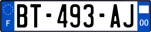 BT-493-AJ