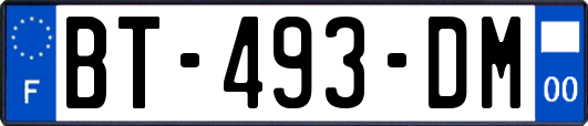 BT-493-DM