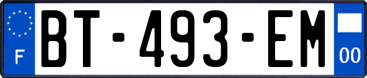 BT-493-EM