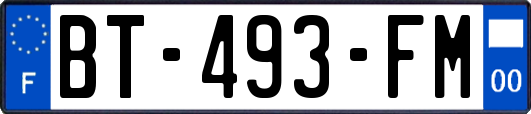 BT-493-FM