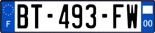 BT-493-FW