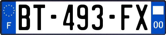 BT-493-FX