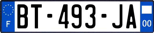 BT-493-JA