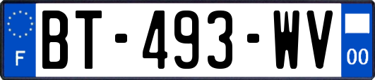 BT-493-WV