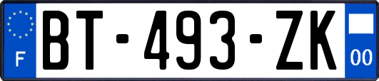 BT-493-ZK