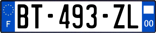 BT-493-ZL