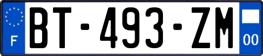 BT-493-ZM