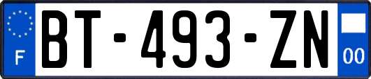 BT-493-ZN