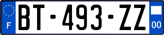 BT-493-ZZ