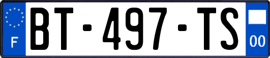 BT-497-TS