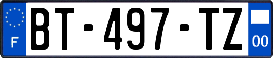 BT-497-TZ