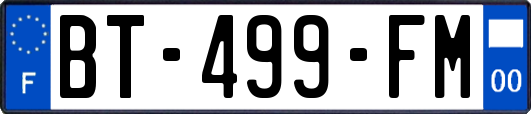 BT-499-FM