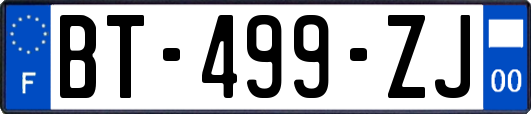 BT-499-ZJ