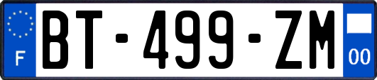 BT-499-ZM