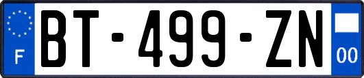 BT-499-ZN