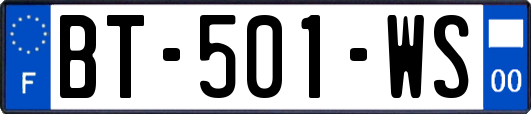 BT-501-WS