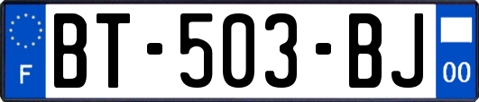 BT-503-BJ