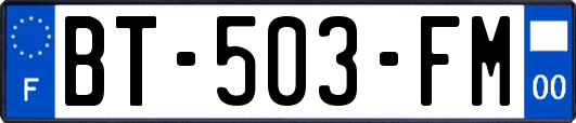 BT-503-FM