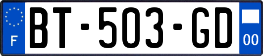 BT-503-GD