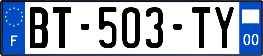 BT-503-TY