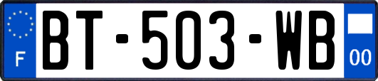 BT-503-WB