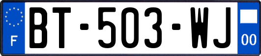 BT-503-WJ