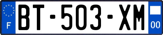 BT-503-XM