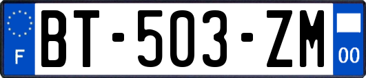 BT-503-ZM