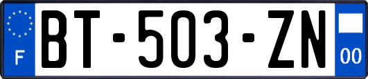 BT-503-ZN