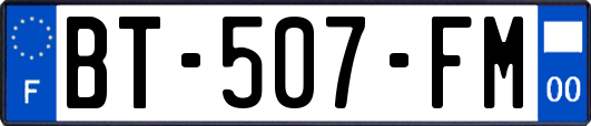 BT-507-FM