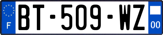 BT-509-WZ