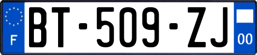 BT-509-ZJ