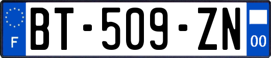 BT-509-ZN