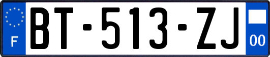 BT-513-ZJ