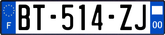 BT-514-ZJ