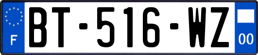 BT-516-WZ