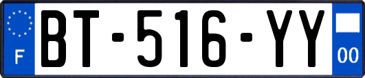 BT-516-YY