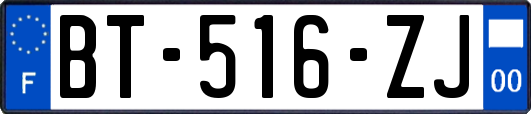 BT-516-ZJ