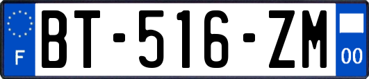 BT-516-ZM