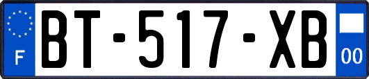 BT-517-XB