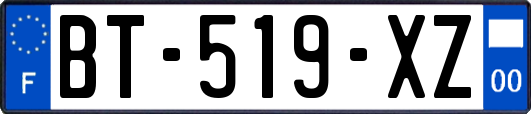 BT-519-XZ