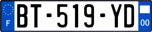 BT-519-YD